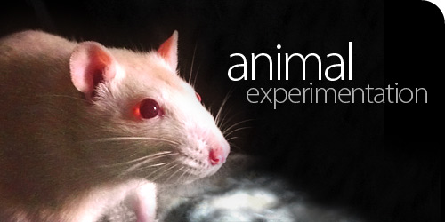 How many animals are used in experiments worldwide?