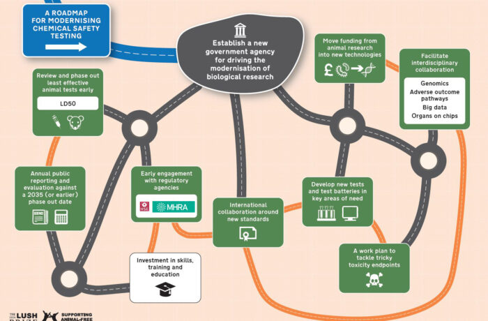 Photo: A roadmap for modernising chemical safety testing in the UK